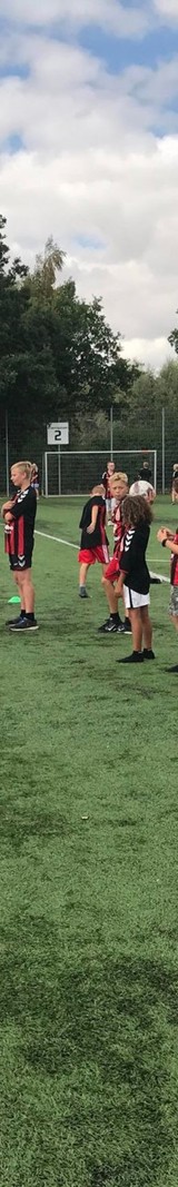 342384640 615077190639262 1931771884580071789 N 342384640 615077190639262 1931771884580071789 N